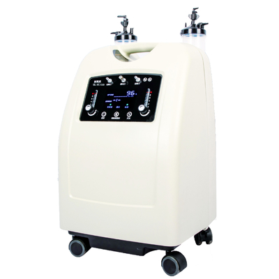 Hot sale Medical 10L Household double flow oxygen generator & home use Oxygen Concentration